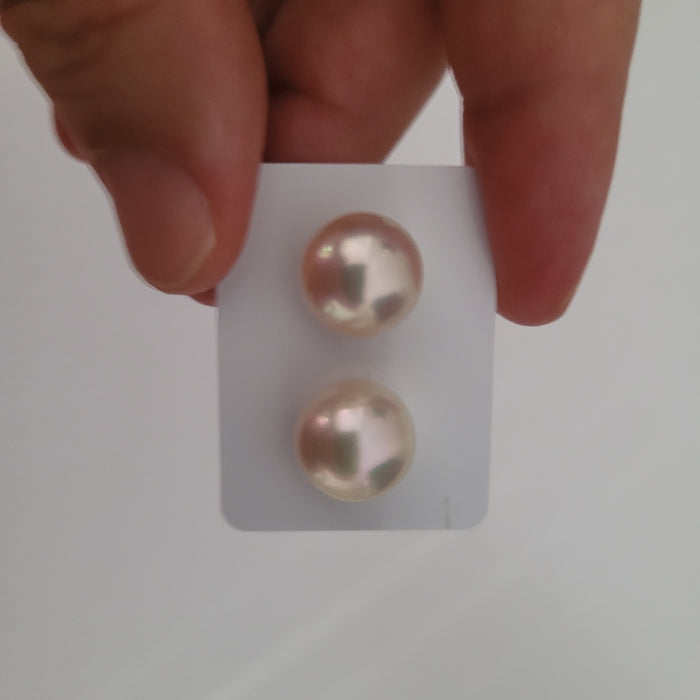 South Sea Pearls 12 mm Fine Quality |  The South Sea Pearl |  The South Sea Pearl