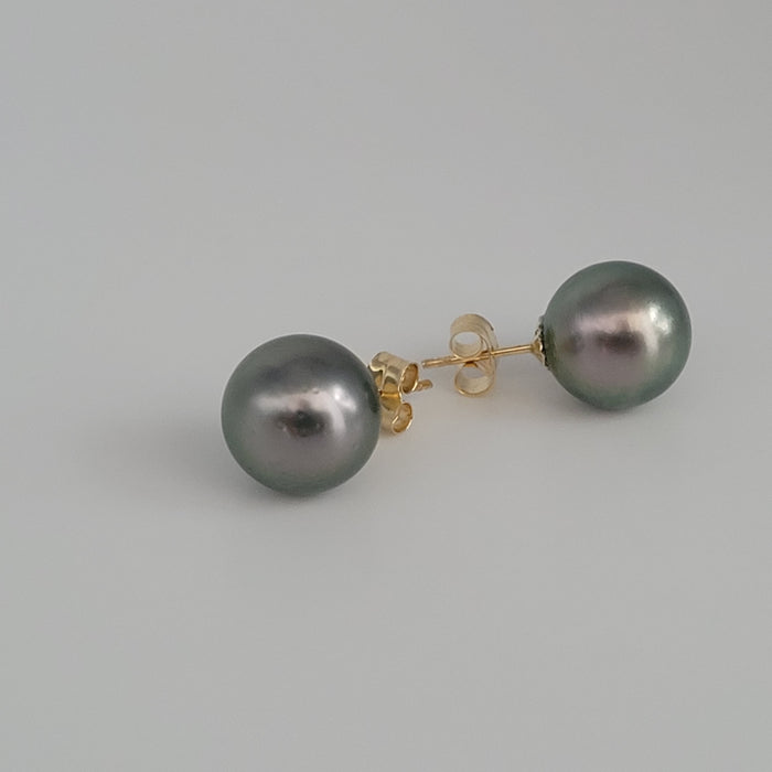 Tahiti Pearl Earrings Stud 9 mm AAA Quality and 18 Karat Solid gold |  The South Sea Pearl |  The South Sea Pearl