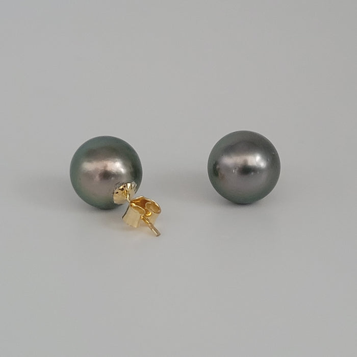 Tahiti Pearl Earrings Stud 9 mm AAA Quality and 18 Karat Solid gold |  The South Sea Pearl |  The South Sea Pearl