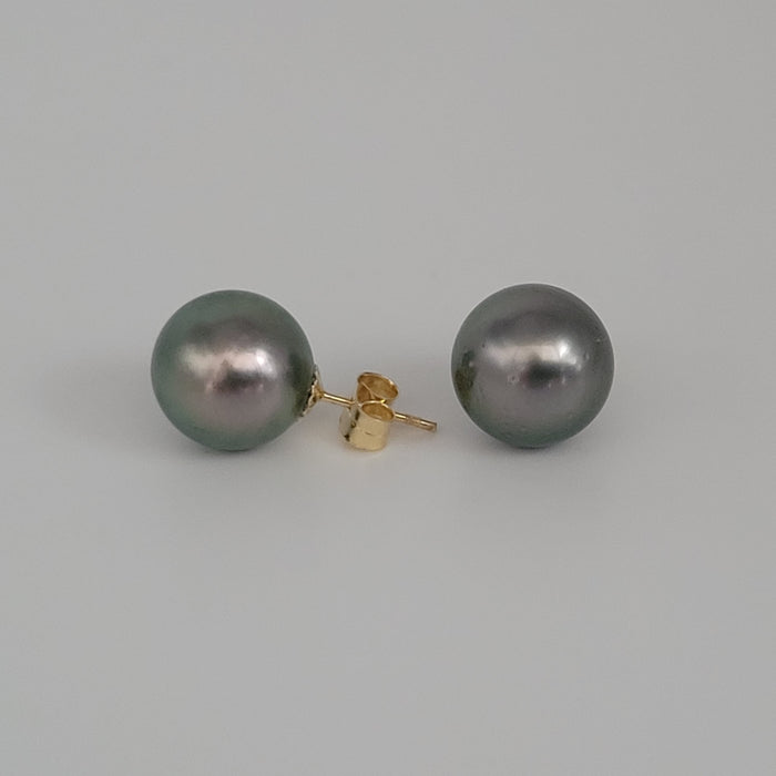 Tahiti Pearl Earrings Stud 9 mm AAA Quality and 18 Karat Solid gold |  The South Sea Pearl |  The South Sea Pearl