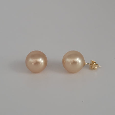 Golden South Sea Pearl Earrings 11 mm, 18 Karat Gold |  The South Sea Pearl |  The South Sea Pearl