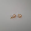 Golden South Sea Pearl Earrings 11 mm, 18 Karat Gold |  The South Sea Pearl |  The South Sea Pearl