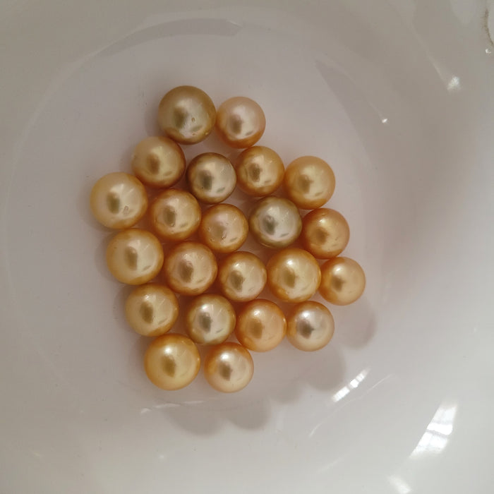 Golden South Sea Pearls 11-12 mm Round |  The South Sea Pearl |  The South Sea Pearl