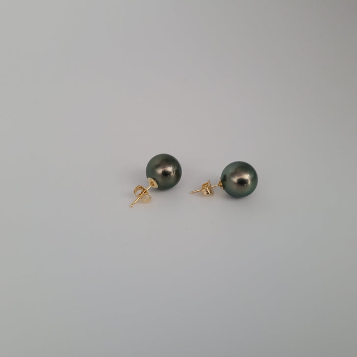 A Tahiti Pearl Earrings 10 mm Round High Luster,  18 Karat Gold |  The South Sea Pearl |  The South Sea Pearl