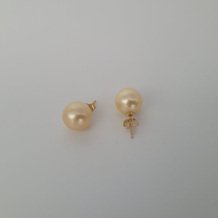Golden South Sea Pearls 11 mn Round, 18 Karat solid Gold |  The South Sea Pearl |  The South Sea Pearl