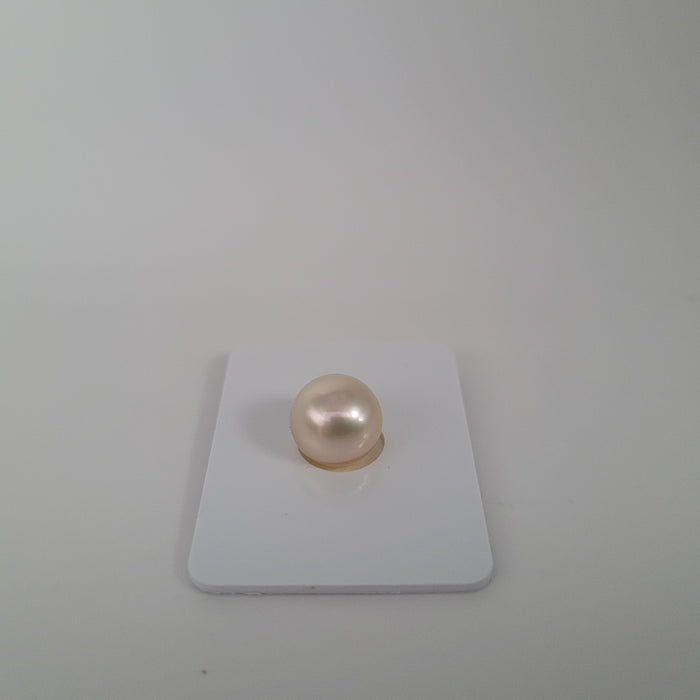 A South Sea Pearls of Fine Quality Grade 1 Golden-Champagne Fancy Color 10 mm |  The South Sea Pearl |  The South Sea Pearl