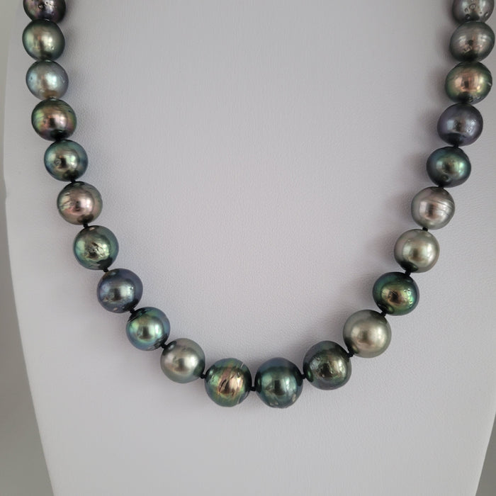 Tahiti Pearls Natural Multicolor 10-11 mm High Luster |  The South Sea Pearl |  The South Sea Pearl