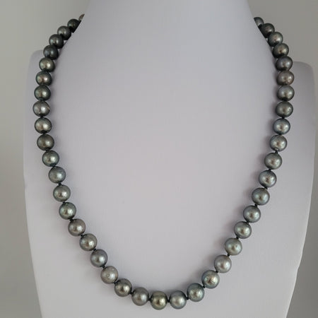 South sea pearl necklace for sale online
