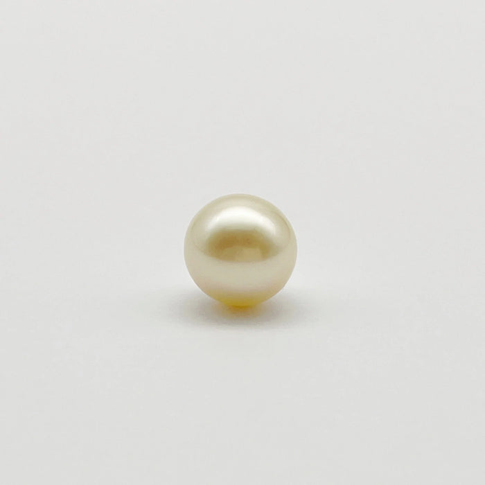 South Sea Pearl Single 11 mm Quality Grade 1 |  The South Sea Pearl |  The South Sea Pearl