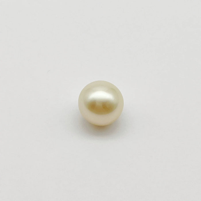 South Sea Pearl Single 11 mm Quality Grade 1 |  The South Sea Pearl |  The South Sea Pearl
