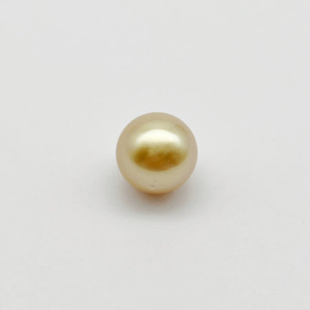 A Golden Light Color South Sea Pearl 12.6 mm Semi-Round |  The South Sea Pearl |  The South Sea Pearl