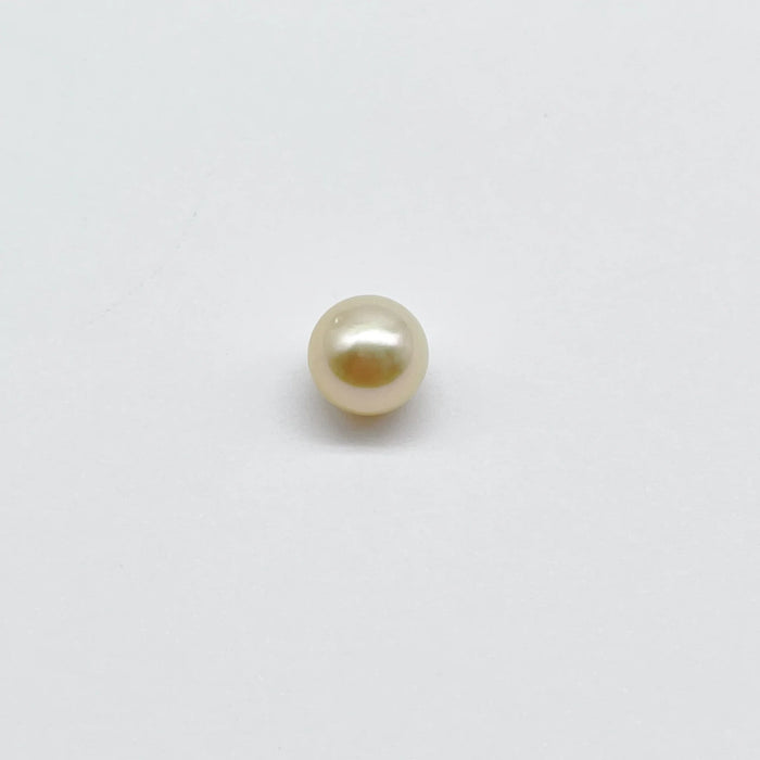 A South Sea Pearls of Fine Quality Grade 1 Golden-Champagne Fancy Color 10 mm |  The South Sea Pearl |  The South Sea Pearl
