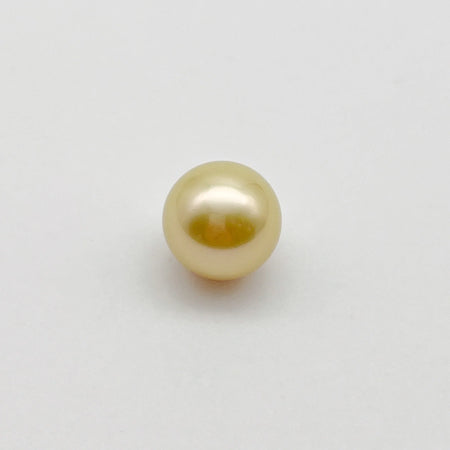 A Golden South Sea Pearls of Fine Quality Round Shape 12.8 mm |  The South Sea Pearl |  The South Sea Pearl