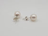 Akoya Pearl Earrings in 925 Sterling Silver - Sizes range from 7 to 9mm -  The South Sea Pearl