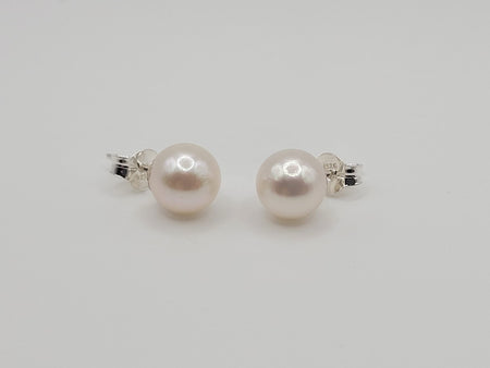 Akoya Pearl Earrings in 925 Sterling Silver - Sizes range from 7 to 9mm -  The South Sea Pearl