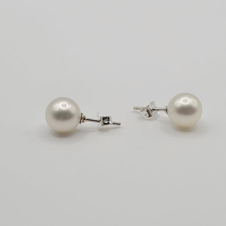 South Sea Pearls White Color 8-9 mm Stud Earrings |  The South Sea Pearl |  The South Sea Pearl