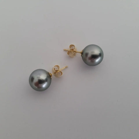 Dark Tahitian cultured pearl earrings 9mm round in 18K Yellow Gold (Pinctada margaritifera) — The South Sea Pearl
