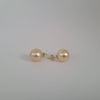 Golden South Sea Pearls Stud Earrings 11 mm 18 Karat Gold |  The South Sea Pearl |  The South Sea Pearl