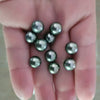 Loose Tahitian Pearls of Natural Color and High Luster, Size of 9-10 mm and Round Shape -  The South Sea Pearl
