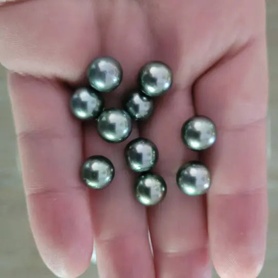 Loose Tahitian Pearls of Natural Color and High Luster, Size of 9-10 mm and Round Shape -  The South Sea Pearl