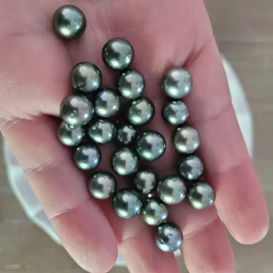 Loose Tahitian Pearls of Natural Dark Color and High Luster, size of 9-10 mm, Round Shape. -  The South Sea Pearl