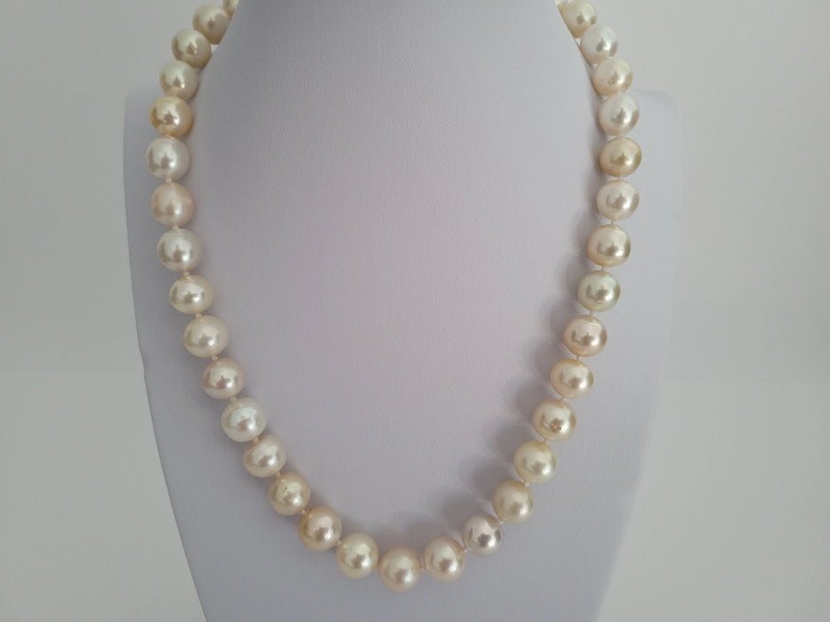 South Sea Pearls 9-11 mm Natural Colors - Only at  The South Sea Pearl