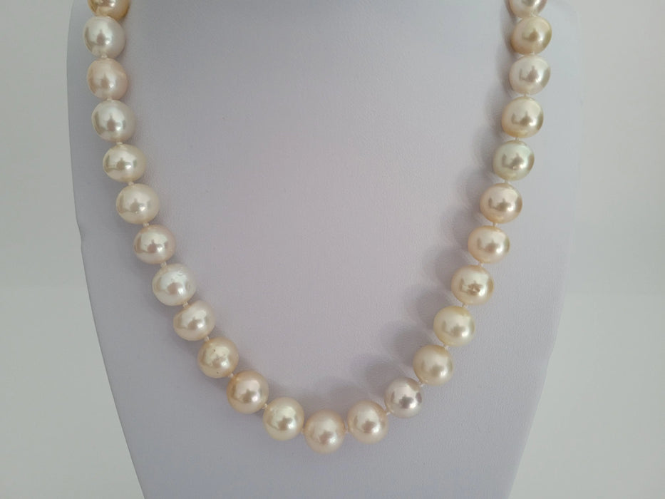 South Sea Pearls 9-11 mm Natural Colors - Only at  The South Sea Pearl
