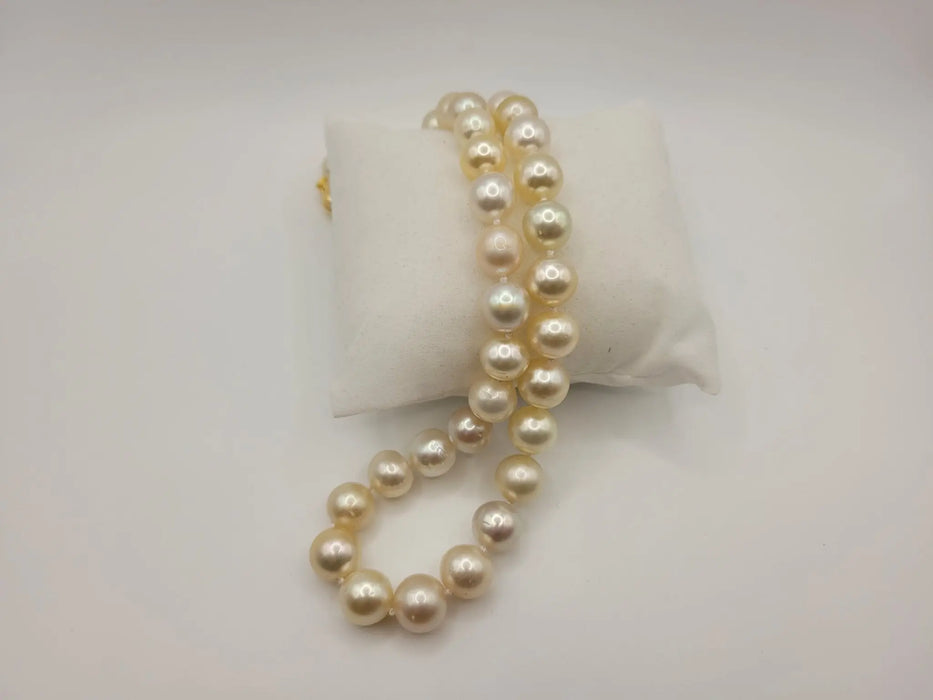 South Sea Pearls 9-11 mm Natural Colors - Only at  The South Sea Pearl