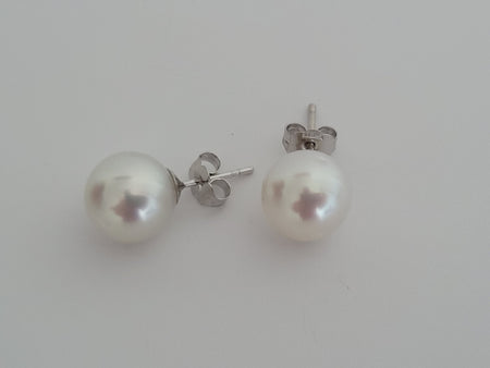 South Sea Pearl Earrings, Sizes from 9 to 11mm, Manufactured in 925 mls Silver -  The South Sea Pearl