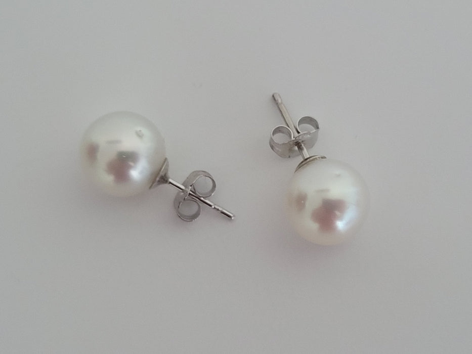 South Sea Pearl Earrings, Sizes from 9 to 11mm, Manufactured in 925 mls Silver -  The South Sea Pearl