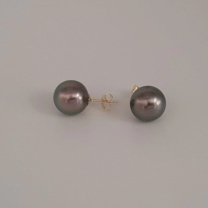 Tahiti Pearl Earrings 12 mm AAA Quality High Luster 18K Solid Gold |  The South Sea Pearl |  The South Sea Pearl