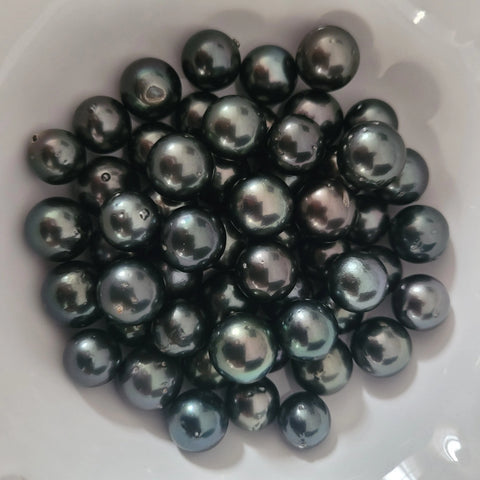 Loose dark Tahitian cultured pearls 12-14mm round in .925 sterling silver (Pinctada margaritifera) — The South Sea Pearl