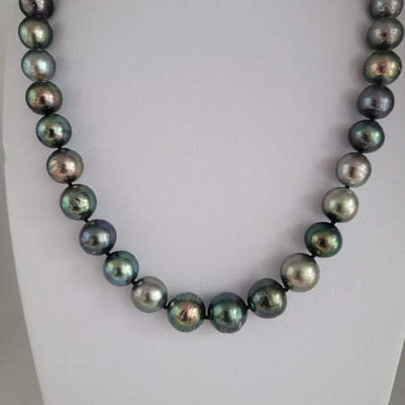 Tahiti Pearls Natural Multicolor 10-11 mm High Luster |  The South Sea Pearl |  The South Sea Pearl