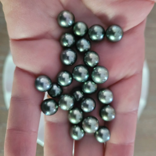 Loose Tahitian Pearls of Natural Dark Color and High Luster, size of 9-10 mm, Round Shape. -  The South Sea Pearl