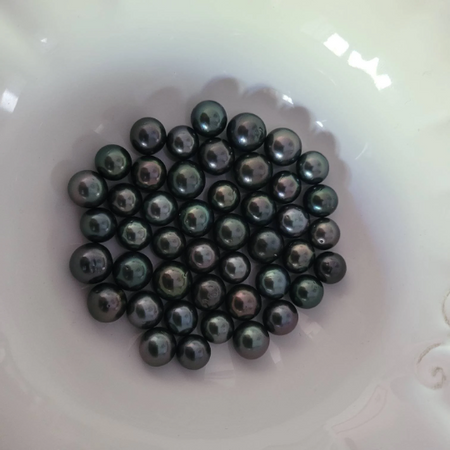 Loose Tahitian Pearls of Natural Dark Color and High Luster, Size of 10-11 mm -  The South Sea Pearl