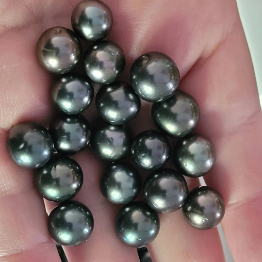 Loose Tahitian Pearls of Natural Dark Color and High Luster, Size of 10-11 mm -  The South Sea Pearl