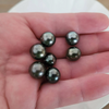 Loose Tahitian Pearls of Natural Color and High Luster 11-12 mm -  The South Sea Pearl