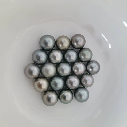 Loose Tahitian Pearls of Natural Color and High Luster 12-13 mm Round -  The South Sea Pearl