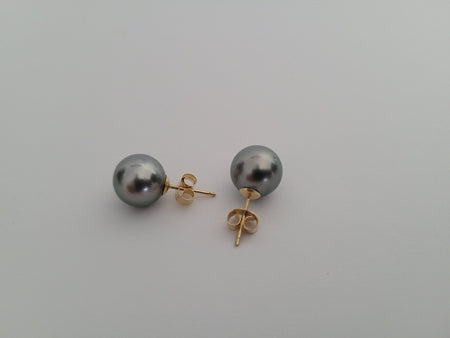 18K Tahitian Pearl Earrings, Manufactured in 18K Solid Yellow Gold, Sizes from 9 to 11mm -  The South Sea Pearl