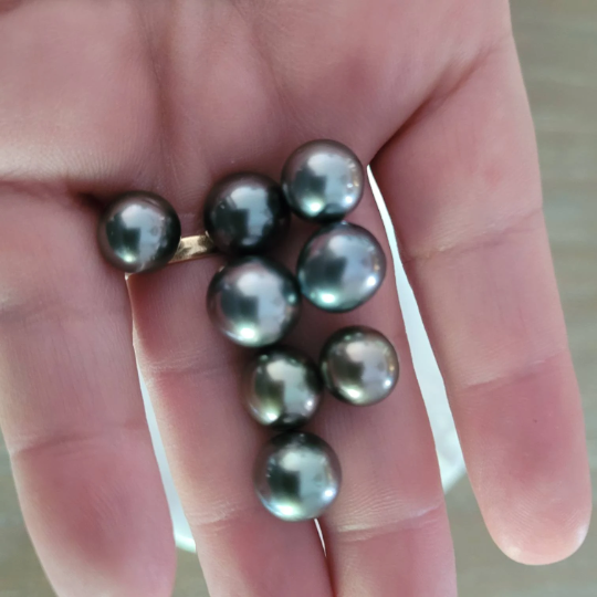 Loose Tahitian Pearls of Natural Dark Color and High Luster, size 10-11 mm -  The South Sea Pearl
