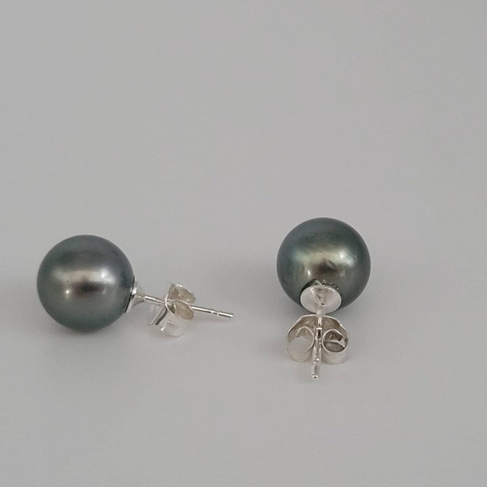Tahitian Pearl Earrings in 925 Sterling Silver - Sizes from 9-11mm | The South Sea Pearl |  The South Sea Pearl