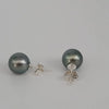 Tahitian Pearl Earrings in 925 Sterling Silver - Sizes from 9-11mm | The South Sea Pearl |  The South Sea Pearl