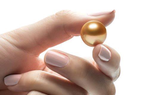 A Pair of Golden South Sea Pearls 11 mm Natural Color and High Luster - The South Sea Pearl