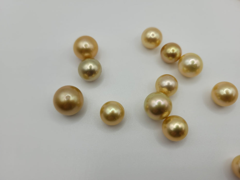 Deep Golden South Sea Pearl 16 pcs Wholesale Lot - Only at  The South Sea Pearl