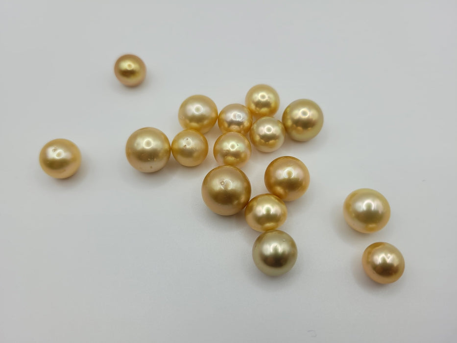 Deep Golden South Sea Pearl 16 pcs Wholesale Lot - Only at  The South Sea Pearl
