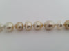 Golden South Sea Pearls 10-11 mm 18 Karat Solid Gold - Only at  The South Sea Pearl