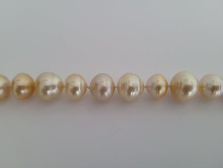Golden South Sea Pearls 11-13 mm, 18 Karat Solid Gold - Only at  The South Sea Pearl