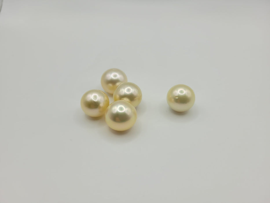 Golden South Sea Pearls 14 mm Natural Color and High Luster - Only at  The South Sea Pearl