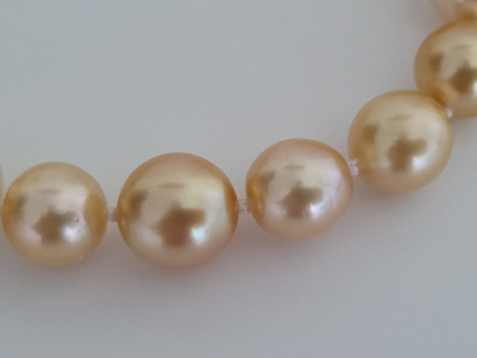 Golden South Sea Pearls 9-10 mm, 18 Karat Gold. - Only at  The South Sea Pearl