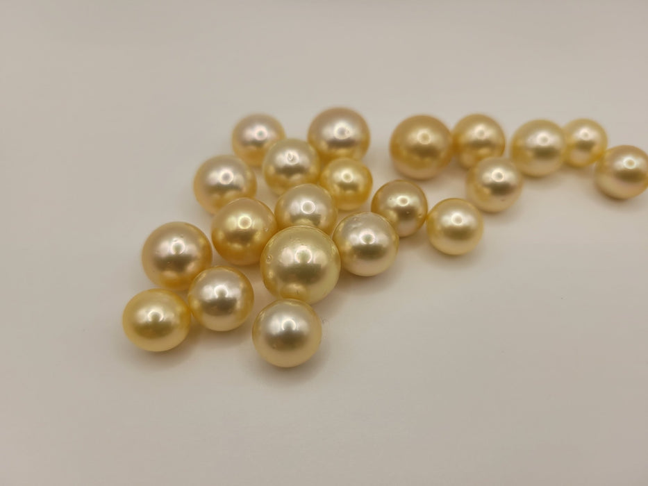 Golden South Sea Pearls 9-12 mm 22 pcs wholesale Lot - Only at  The South Sea Pearl